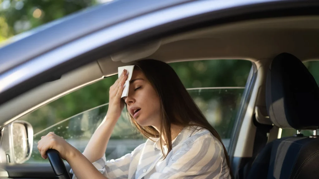 hire a driver in dubai